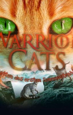 Die Schatten des ersten Sonnenstrahls- Warrior Cats (MMFF) 