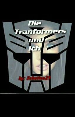 Die Transformers und Ich