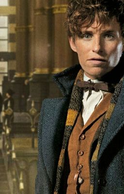 Die Unbekannte im Fall Newt Scamander, Artikel 3A