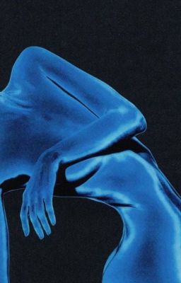 [diep lam anh x trang phap] hoạ sĩ diệp