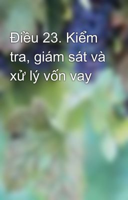 Điều 23. Kiểm tra, giám sát và xử lý vốn vay