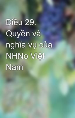 Điều 29. Quyền và nghĩa vụ của NHNo Việt Nam