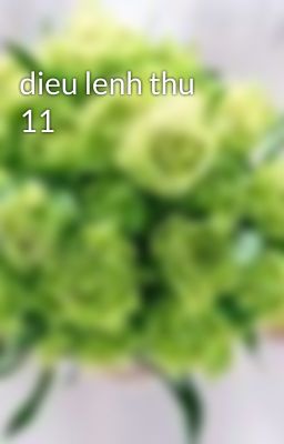 dieu lenh thu 11