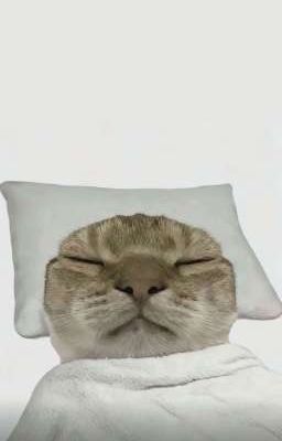 dillanson; tin đồn.