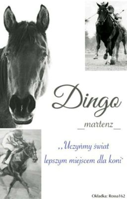 Dingo