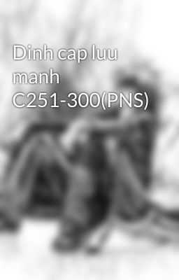 Dinh cap luu manh C251-300(PNS)