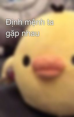 Định mệnh ta gặp nhau