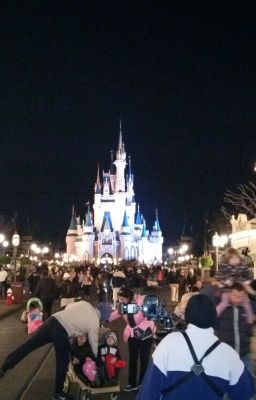 Disney World