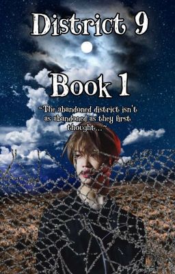 District 9 (ChanLix)||Book 1 {✔}