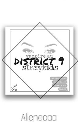 district 9 | stray kids