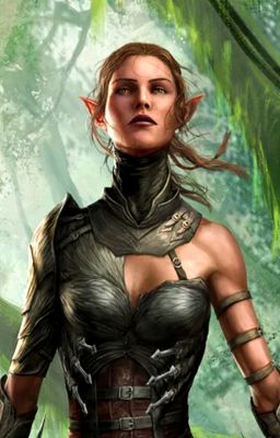 Divinity Original Sin 2 : Another Steps