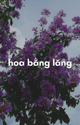 dla x tp | hoa bằng lăng