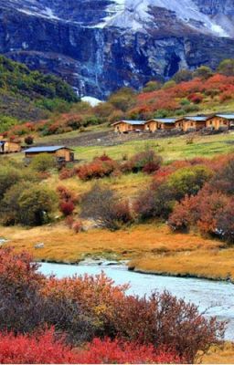 [ĐM] Đạt Oa của nhà Hạ Tô - Đặc Mật Hách Ai