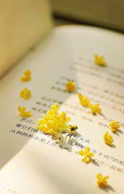 [ĐM] Hệ thống kết đôi