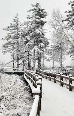 [ĐM] Kẻ hạ đẳng - Đoạn Đao Tước (Ngừng)