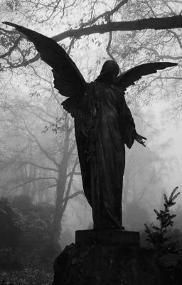 dmhp | phòng lưu trữ thư tình