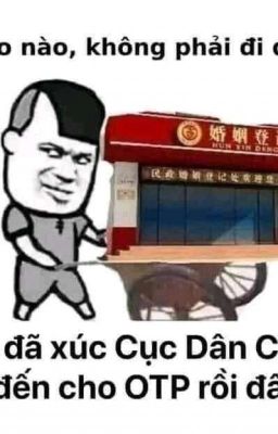 [ĐN Băng Cửu] Pháo Hôi Xuyên Không Giúp Phản Diện Và Nam Chính Yêu Đương!