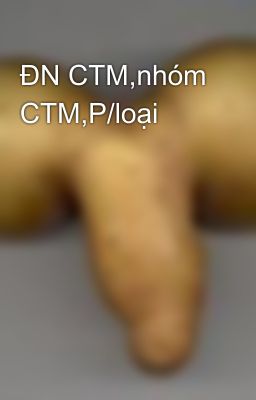 ĐN CTM,nhóm CTM,P/loại