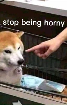 [ĐN GACHIAKUTA/BL] ĐÊM NAY CÓ GIÓ