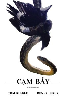 [ĐN HARRY POTTER] Cạm Bẫy