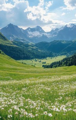 ĐN Jujutsu kaisen x Anime (Thế giới mới?)