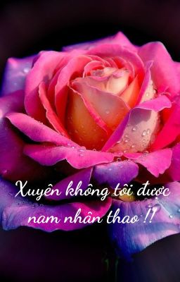 ( ĐN One Pice ) Xuyên không tôi được nam nhân thao