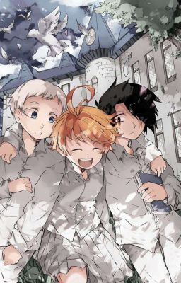 (ĐN The Promise Neverland) Mèo Xám Và Hành Trình Của Những Người Bạn 