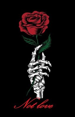 [ĐN TOKYO REVENGERS] NOT LOVE