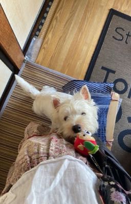 dnal | có em là nhà