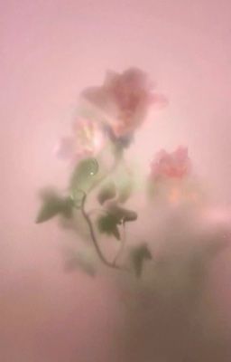 dnal | mồ hôi, đôi môi và cổ