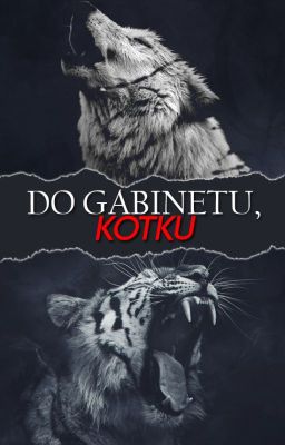 Do gabinetu, kotku