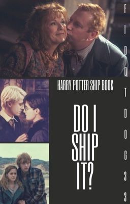 Do I Ship It? (Harry Potter) 