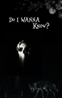 Do I wanna Know? (Hozier Version)