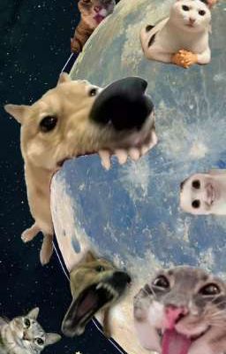 ĐỒ TỒI 🙅🏻