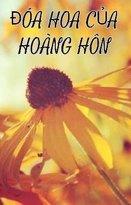 Đóa Hoa Của Hoàng Hôn