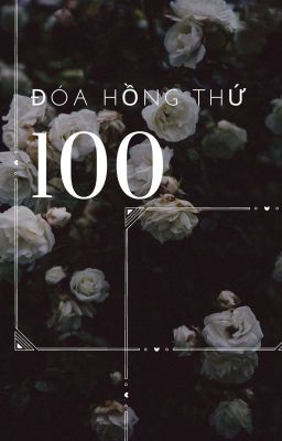 Đóa hồng thứ 100