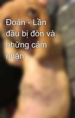 Đoản - Lần đầu bị đòn và những cảm nhận