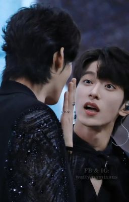 ĐOẢN NGẪU HỨNG VỀ LANG ĐỒ