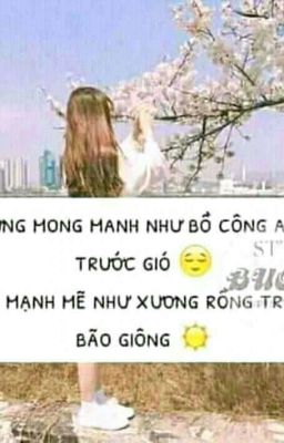 Đoản SE, HE,...