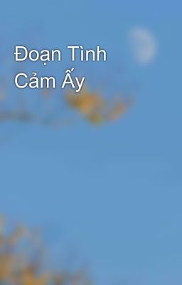 Đoạn Tình Cảm Ấy