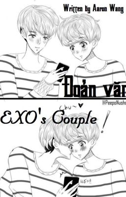 Đoản văn EXO's Couple~