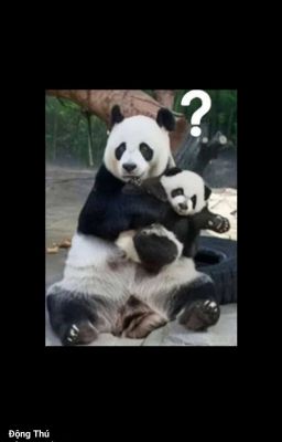 Đoản Văn Se / Be