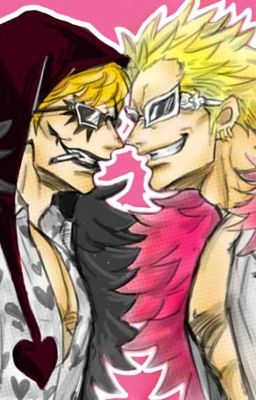 ~ Doflamingo x reader x Rosinante ~