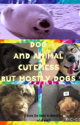 Dog and animal cuteness but mostly dogs(I know that the cover is cheesy but wtv)