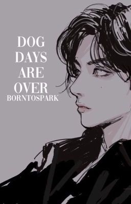 Dog Days Are Over ◆ JeonJungkook /ON HOLD/