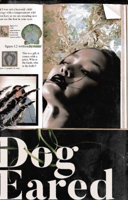 Dog-Eared ⋆ Supernatural