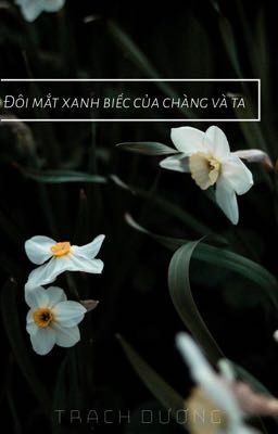 Đôi Mắt Xanh Biếc Của Ta Và Chàng