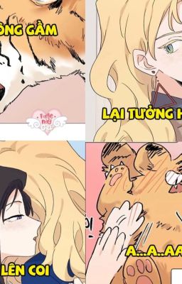 Đối thủ một mất một còn dấu yêu