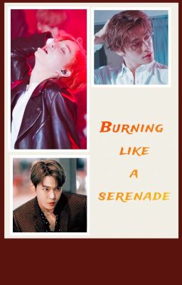 [Dojaewoo][Shortfic/Trans] Burning like a serenade