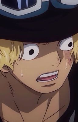 Dollface. [Sabo x Reader]